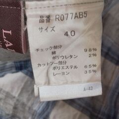 チェックシャツ 薄めの画像