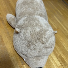 鳥羽水族館　限定　ぬいぐるみの画像