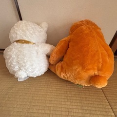くまのぬいぐるみの画像