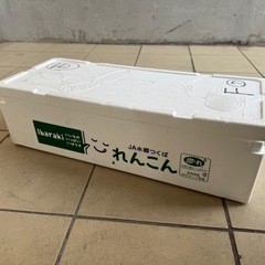 発泡スチロール　釣りに！