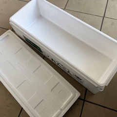 発泡スチロール　釣りに！の画像
