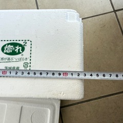 発泡スチロール　釣りに！の画像