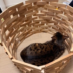 カプラ積み木　オビッタの画像
