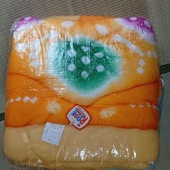 京都西川　掛け布団２枚組の画像