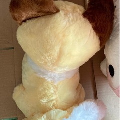 きつねさんの画像