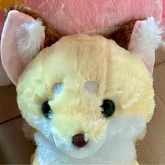 きつねさんの画像