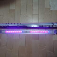 水槽照明①　KOTOBUKI　フラットLED900の画像