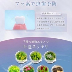 【新品未使用】メディスホワイト 医薬部外品 歯磨き粉 ホワイトニング フッ素入り 低刺激の画像