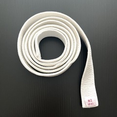 150~160㎝ ミツボシ 柔道着 #2 3点セットの画像