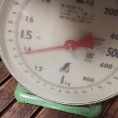 はねだし太陽　1.4kg　②の画像