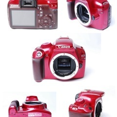 Canon Kiss X50 Wレンズ スマホ転送 初心者おススメ 一眼レフの画像