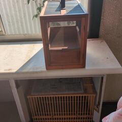 鳥かご5個の画像
