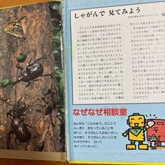 絵本　こんちゅうの画像