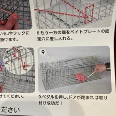 猫　動物用　保護器具の画像