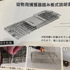 猫　動物用　保護器具の画像