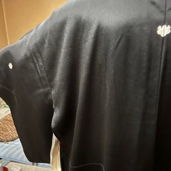 留袖着物　総
袷（冬）　既婚女性の訪問着（かなりお固め）の画像