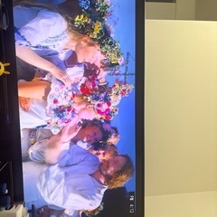 テレビ50v 8月14日以降引き取り