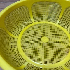 やや大きなザルの画像