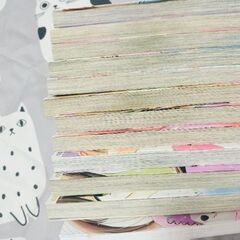 12歳。コミックの画像