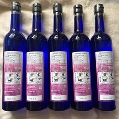 BioAroma ECHINACEAバイオアロマ　エキナケア　5本セットの画像
