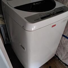 SHARP ES-F45KC-W 4.5kg 全自動洗濯機 縦型

の画像