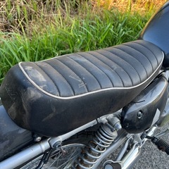 ボルティー250の画像