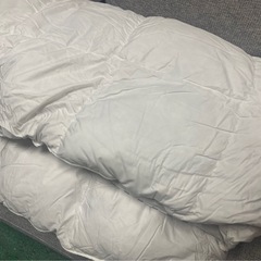 emma スリープ 羽毛掛け布団 サイズ:ダブルの画像