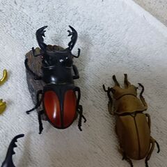 値下げしました、クワガタフィギィア6個セットの画像
