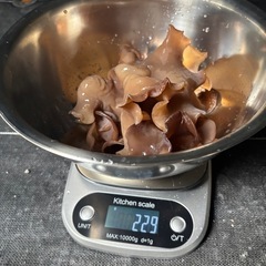 生キクラゲ200g無農薬井戸水栽培の画像