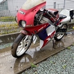ns1 レストアベースになりますの画像