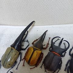 カブトムシフィギィア１１匹①の画像