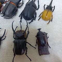 カブトムシフィギィア１１匹①の画像