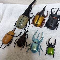 カブトムシフィギィア１１匹①の画像