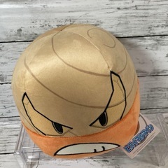 ポケモン　ヒスイマルマイン　ぬいぐるみ　新品未使用タグ付きの画像
