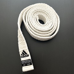 160㎝ adidas 柔道着 3点セットの画像