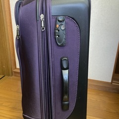 グリフィンランド　キャリーケースの画像
