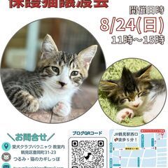 つるみ・猫のカギしっぽ譲渡会８月２４日（日）　 JR鶴見駅西口か...