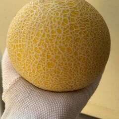 マスクメロン ※訳あり ８５５ｇ