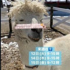 お盆も営業しております🤎
