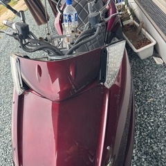 マグザムの画像