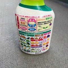 野菜の虫除けの画像