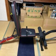 値下げ！激レア！！ゼナックブラックフィンDB-S116 RGガイド