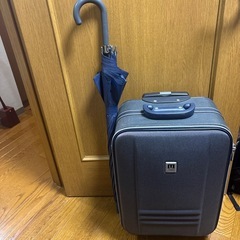 帰省にいかがですか？スーツケースの画像
