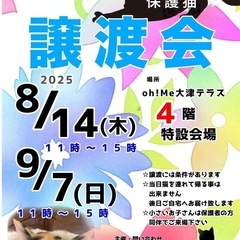 8/14（木）Oh!Me大津テラス保護猫の譲渡会開催