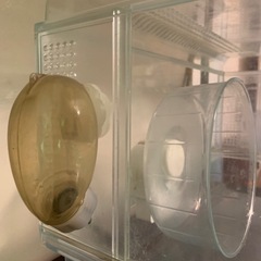 ハムスターゲージ(非対面)の画像