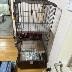 ゲージの画像