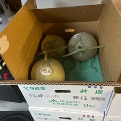3L特大秀品らいでんメロン✨お盆期間が食べ頃♡の画像
