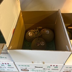 3L特大秀品らいでんメロン✨お盆期間が食べ頃♡の画像