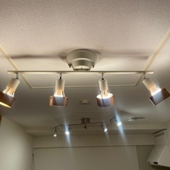 【美品】シーリングスポットライト　電球付きの画像