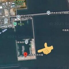 熊本新港に寄ってみっ会